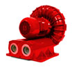 Regenerative Blowers